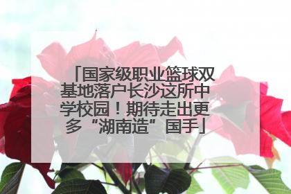 国家级职业篮球双基地落户长沙这所中学校园！期待走出更多“湖南造”国手
