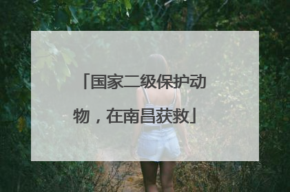 国家二级保护动物，在南昌获救