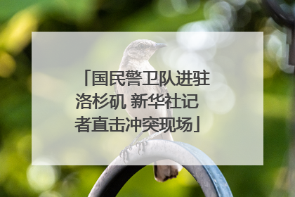 国民警卫队进驻洛杉矶 新华社记者直击冲突现场