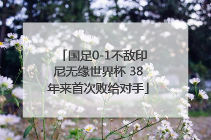 国足0-1不敌印尼无缘世界杯 38年来首次败给对手