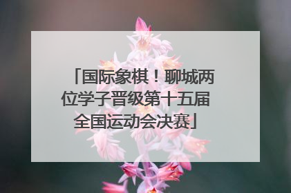国际象棋！聊城两位学子晋级第十五届全国运动会决赛