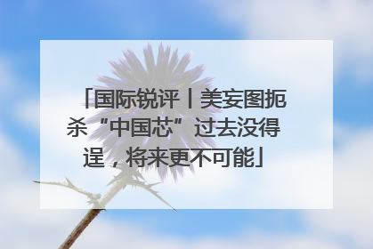 国际锐评丨美妄图扼杀“中国芯”过去没得逞，将来更不可能