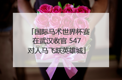 国际马术世界杯赛在武汉收官 547对人马飞跃英雄城