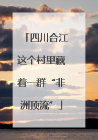 四川合江这个村里藏着一群“非洲顶流”