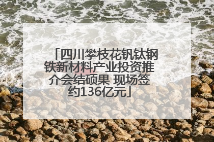 四川攀枝花钒钛钢铁新材料产业投资推介会结硕果 现场签约136亿元