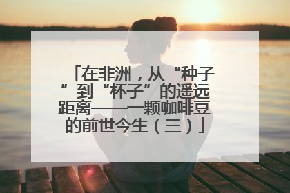 在非洲，从“种子”到“杯子”的遥远距离——一颗咖啡豆的前世今生（三）
