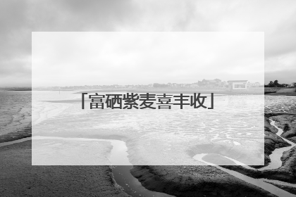 富硒紫麦喜丰收