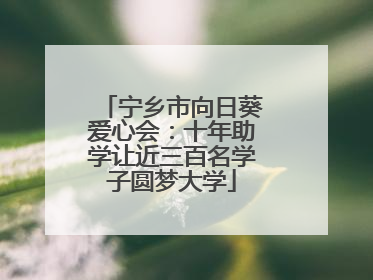 宁乡市向日葵爱心会：十年助学让近三百名学子圆梦大学
