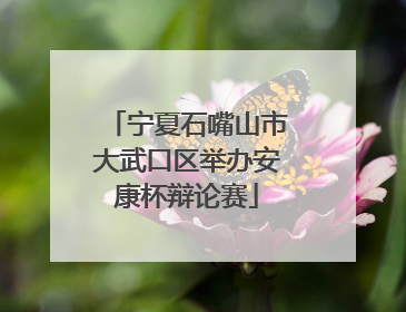 宁夏石嘴山市大武口区举办安康杯辩论赛