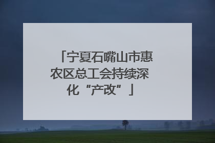 宁夏石嘴山市惠农区总工会持续深化“产改”
