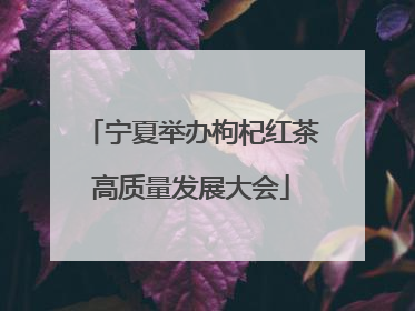 宁夏举办枸杞红茶高质量发展大会
