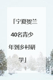 宁夏贺兰40名青少年到乡村研学