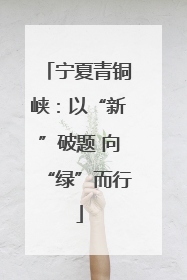 宁夏青铜峡：以“新”破题 向“绿”而行