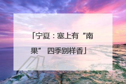 宁夏：塞上有“南果” 四季别样香