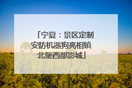 宁夏：景区定制安防机器狗亮相镇北堡西部影城