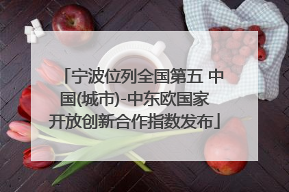 宁波位列全国第五 中国(城市)-中东欧国家开放创新合作指数发布