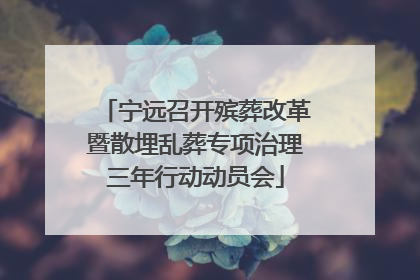 宁远召开殡葬改革暨散埋乱葬专项治理三年行动动员会