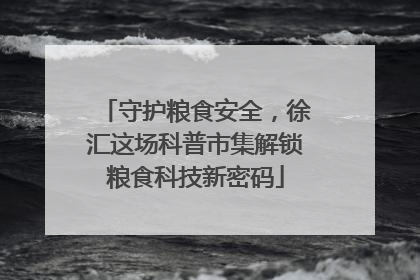 守护粮食安全，徐汇这场科普市集解锁粮食科技新密码
