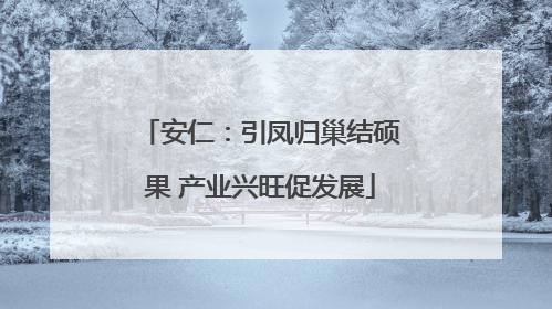 安仁：引凤归巢结硕果 产业兴旺促发展