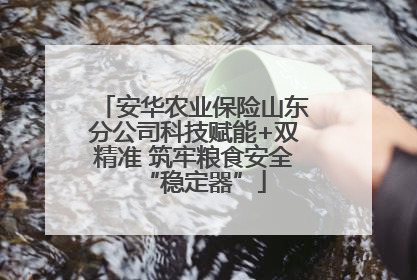 安华农业保险山东分公司科技赋能+双精准 筑牢粮食安全“稳定器”