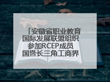 安徽省职业教育国际发展联盟组织参加RCEP成员国暨长三角工商界青年对话会
