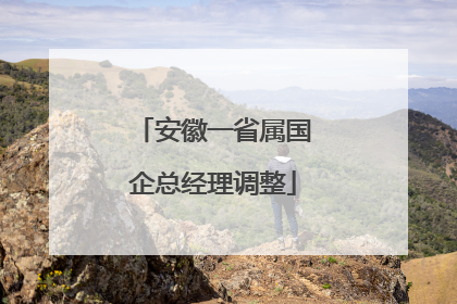 安徽一省属国企总经理调整