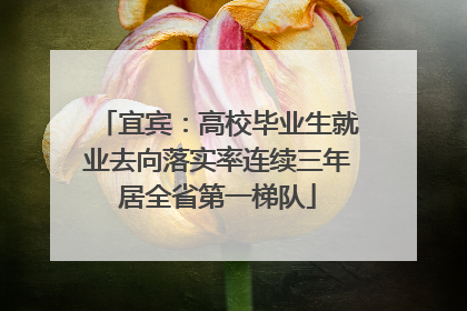 宜宾：高校毕业生就业去向落实率连续三年居全省第一梯队