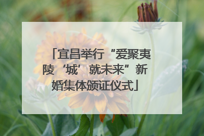 宜昌举行“爱聚夷陵‘城’就未来”新婚集体颁证仪式