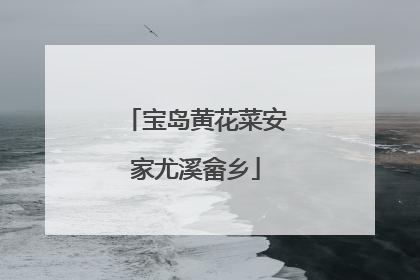 宝岛黄花菜安家尤溪畲乡