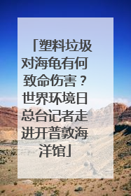 塑料垃圾对海龟有何致命伤害？世界环境日总台记者走进开普敦海洋馆