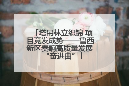 塔吊林立织锦 项目竞发成势——鲁西新区奏响高质量发展“奋进曲”