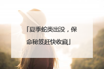 夏季蛇类出没，保命秘笈赶快收藏