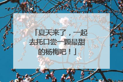 夏天来了，一起去托口尝一颗最甜的杨梅吧！