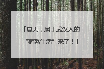 夏天，属于武汉人的“荷系生活”来了！