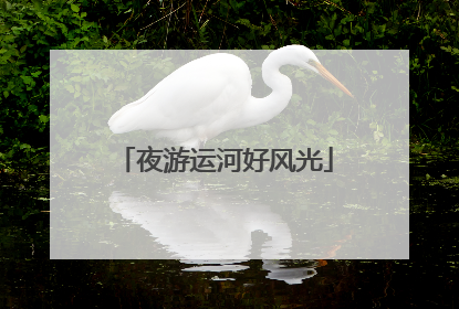 夜游运河好风光