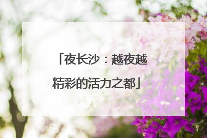夜长沙：越夜越精彩的活力之都