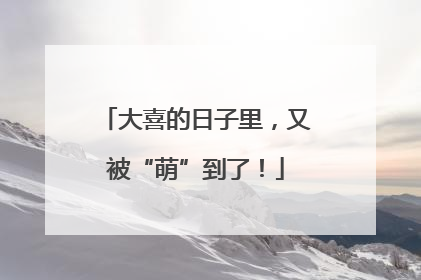 大喜的日子里，又被“萌”到了！