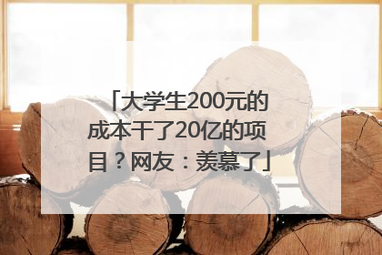 大学生200元的成本干了20亿的项目？网友：羡慕了
