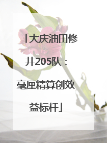 大庆油田修井205队：毫厘精算创效益标杆