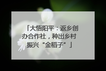 大悟阳平：返乡创办合作社，种出乡村振兴“金稻子”