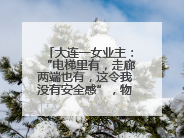 大连一女业主：“电梯里有，走廊两端也有，这令我没有安全感”，物业最新回应……