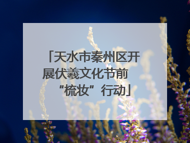 天水市秦州区开展伏羲文化节前 “梳妆”行动