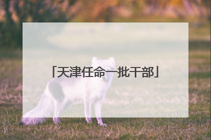 天津任命一批干部