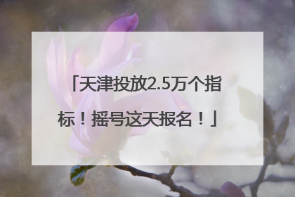 天津投放2.5万个指标！摇号这天报名！