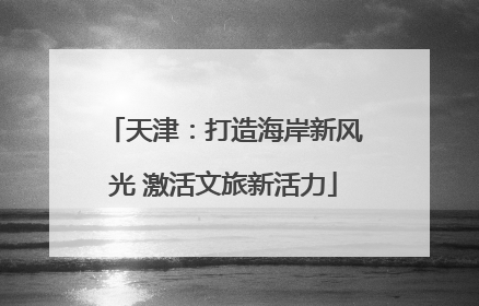 天津：打造海岸新风光 激活文旅新活力