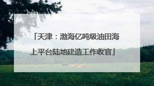 天津：渤海亿吨级油田海上平台陆地建造工作收官
