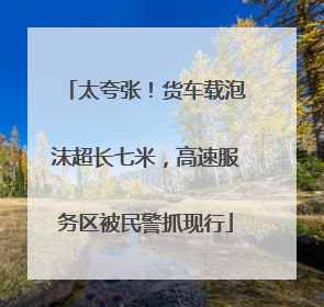 太夸张！货车载泡沫超长七米，高速服务区被民警抓现行