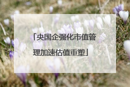 央国企强化市值管理加速估值重塑