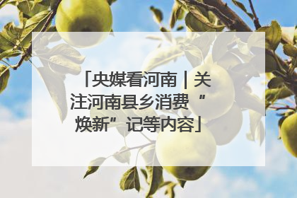 央媒看河南｜关注河南县乡消费“焕新”记等内容
