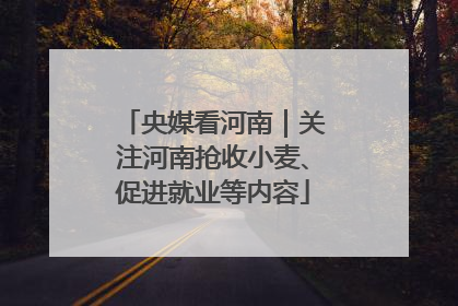 央媒看河南｜关注河南抢收小麦、促进就业等内容